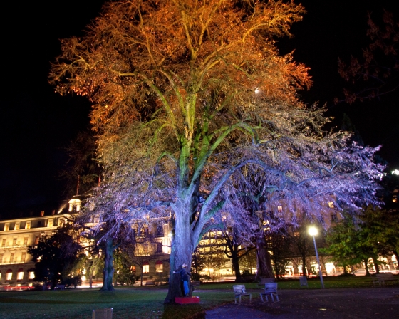 Tree Free Hugs – Genève