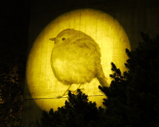 Drôle de Faune – Carouge